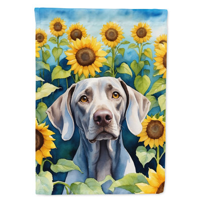Drapeau de la maison du tournesol Malamute d'Alaska