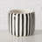 Bond Street Striped Planters