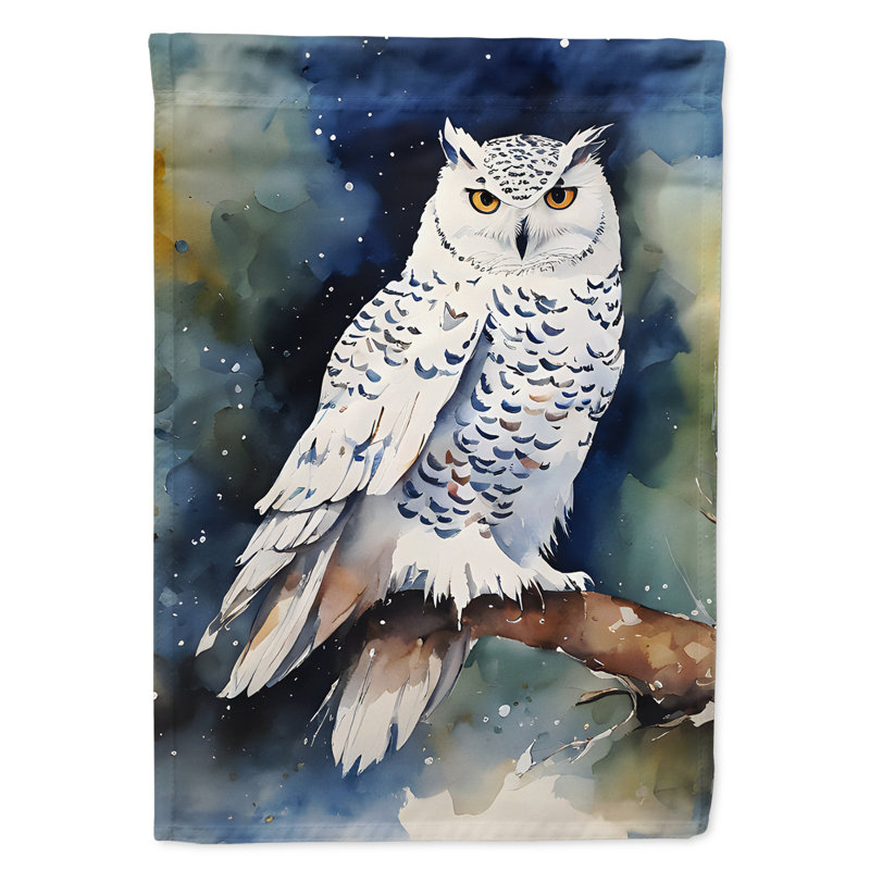 Drapeau Snowy Owl House_DAC3266