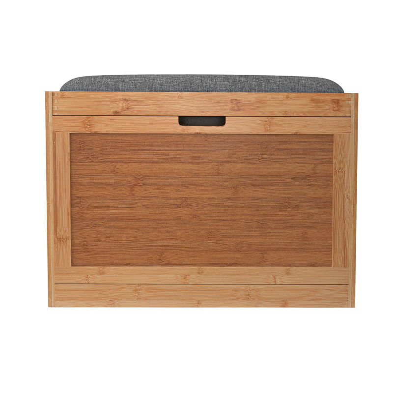 Shoe Storage Cabinet