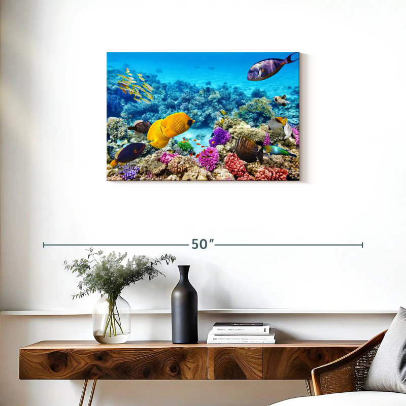 Ocean life Aletra, H 20 po x l 30 po
