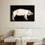 Cochon 1923-384468212
