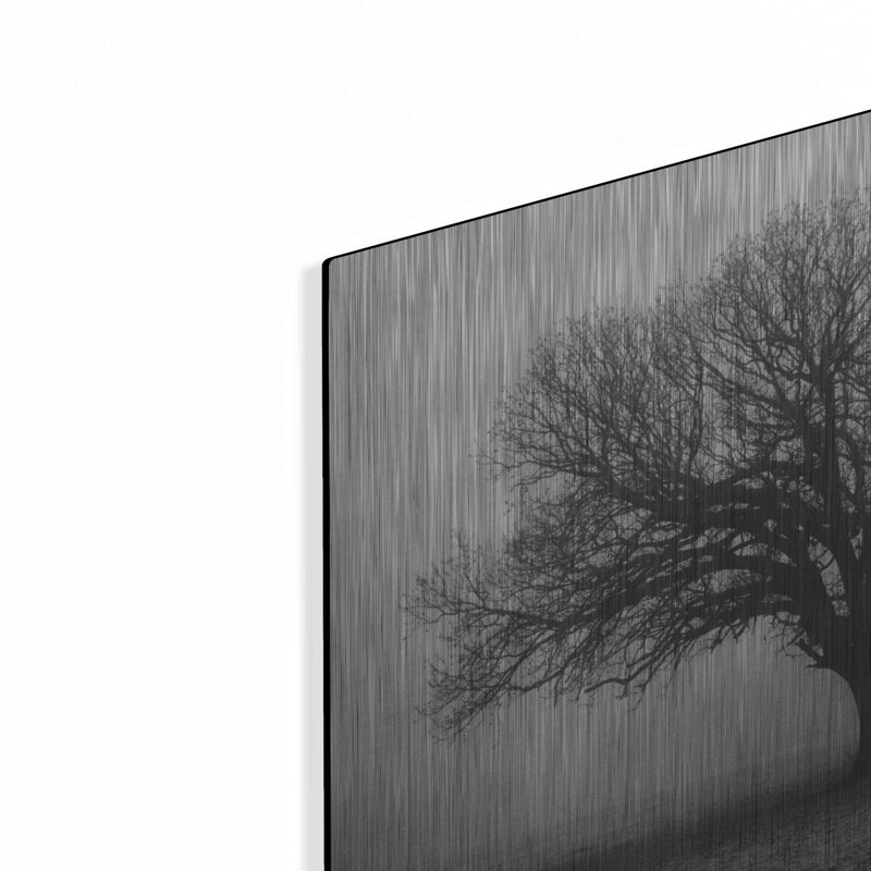 «Evening Mist» par Debra Van Swearingen, H 12 po x l 16 po