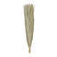 Grand feuillage naturel Cole and Grey Leaf