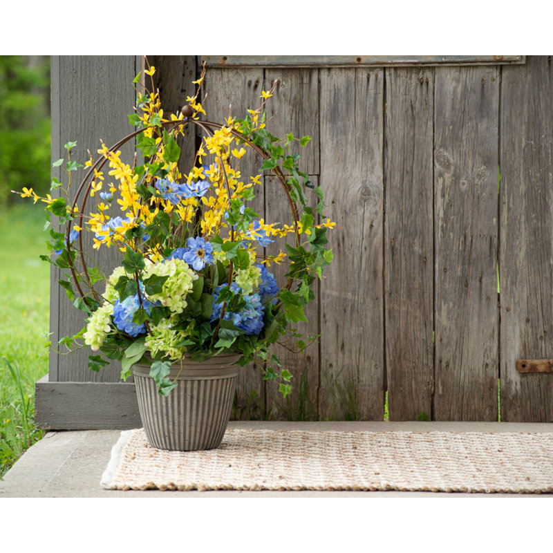 Hortensia en pot