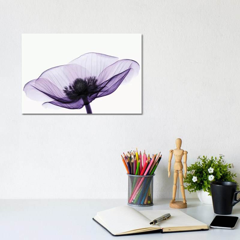 Anemone II - Print on Canvas, 101.6 cm H x 66.04 cm W, Wrapped Canvas