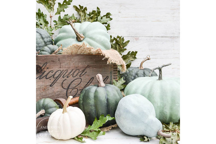 chalk-painted pumpkins