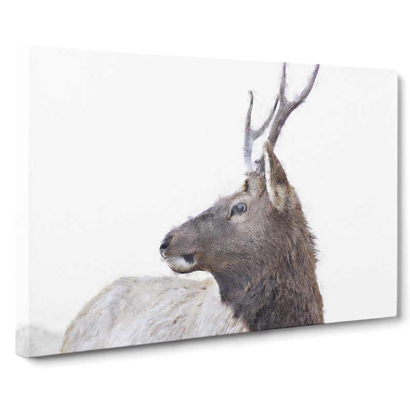 Young Elk - Wrapped Canvas Painting, 60cm H x 91cm W x 3cm D