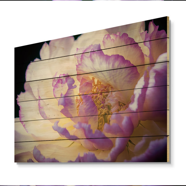 Red Barrel Studio® " Blossoming Pink And White Peony III " on Wood ...