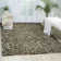 Gaskill Wool Ikat Indoor Rug
