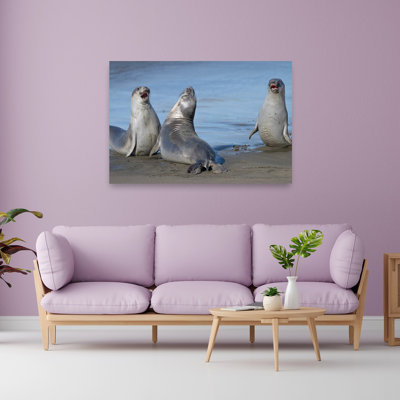Happy Seals Laughing Playful Contemporary Animal Beach Wall Art Print by Jeffrey C. Sink - 1 Piece Wrapped Canvas Wall Art