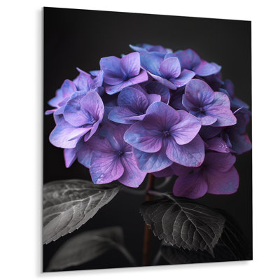Hortensia mauve, charme de ferme I - hortensia, art mural