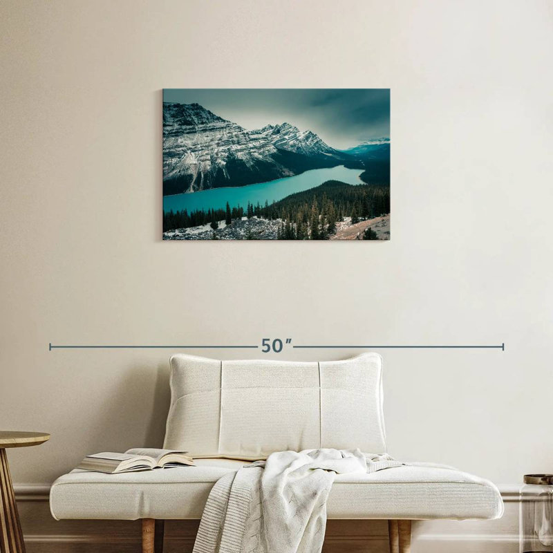 Alvord Peyto Lake, H 20 po x l 30 po