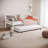 Bentaley Daybed With Trundle-229254545