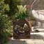 Raised Garden Bed