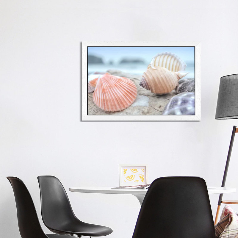 Crescent Beach Shells X by Alan Blaustein - Floater Frame Print on Canvas, 66.04 cm H x 45.72 cm W, White Framed