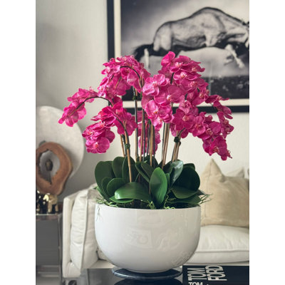White Orchids In Glossy Fiberglass Bowl
