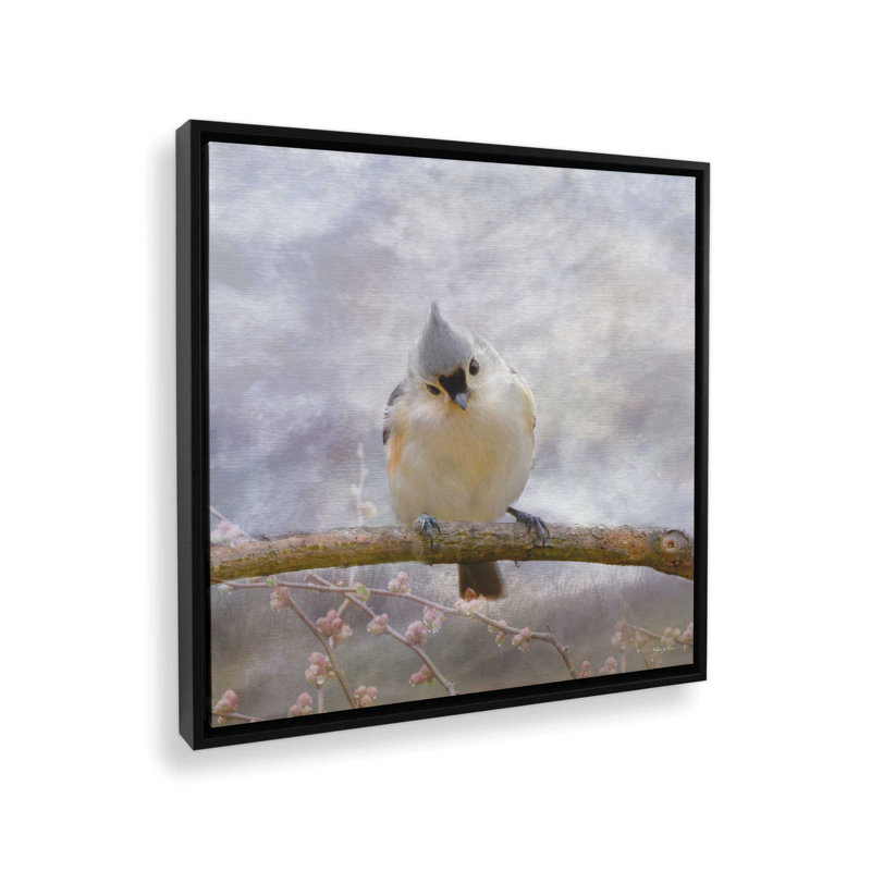Reproduction d'art touffeté Titmouse II par Robin-Lee Vieira, Toile avec cadre, Noir, H 37,5 po x l 37,5 po