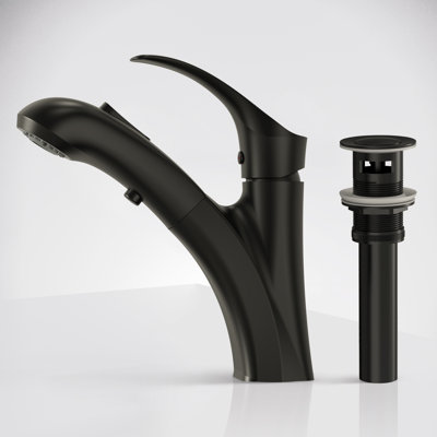 Single Hole Pull-Out Bathroom Faucet, 2-Function Sprayer Bathroom Sink Faucet with Drain Assembly