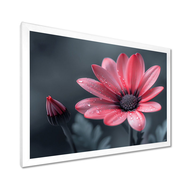 Rose, gris, souci, photo, souci, art mural, salon, Cadre simple blanc, bois massif, H 34 po x l 44 po