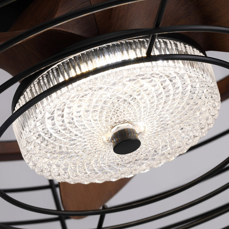 Lieuwe 20" Outdoor Waterproof Caged Ceiling Fans with LED Light and Remote Control Included