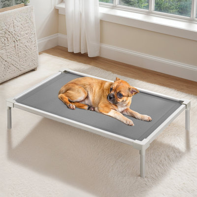 Elevated Dog Bed with Non-slip Feet