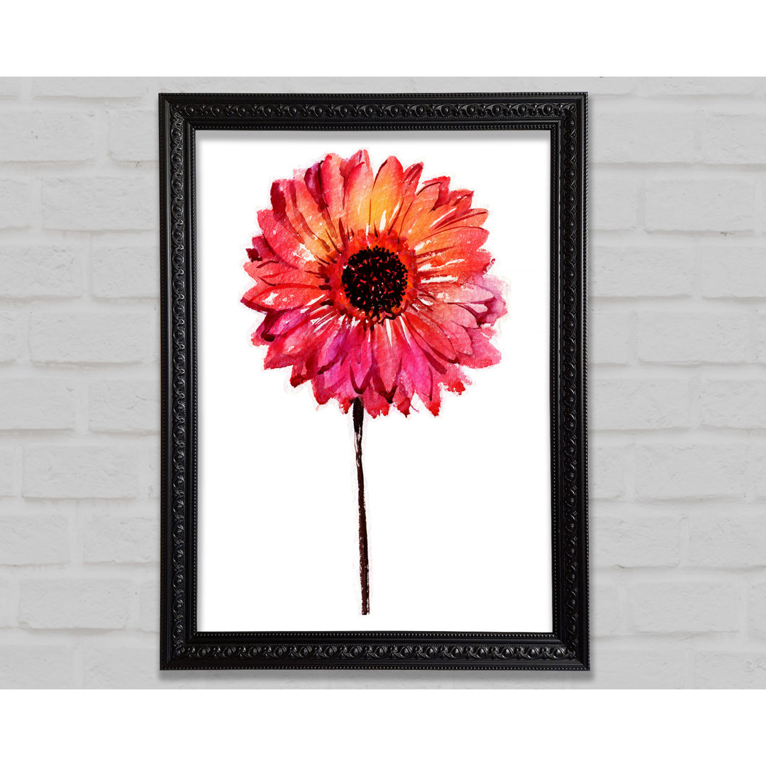 Gerbera Pinks - Druck