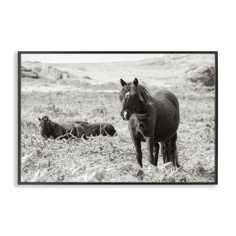 Dartmoor Poneys Lounging, art de la giclée encadrée, conception par Deborah Revell, H 12 po x l 18 po