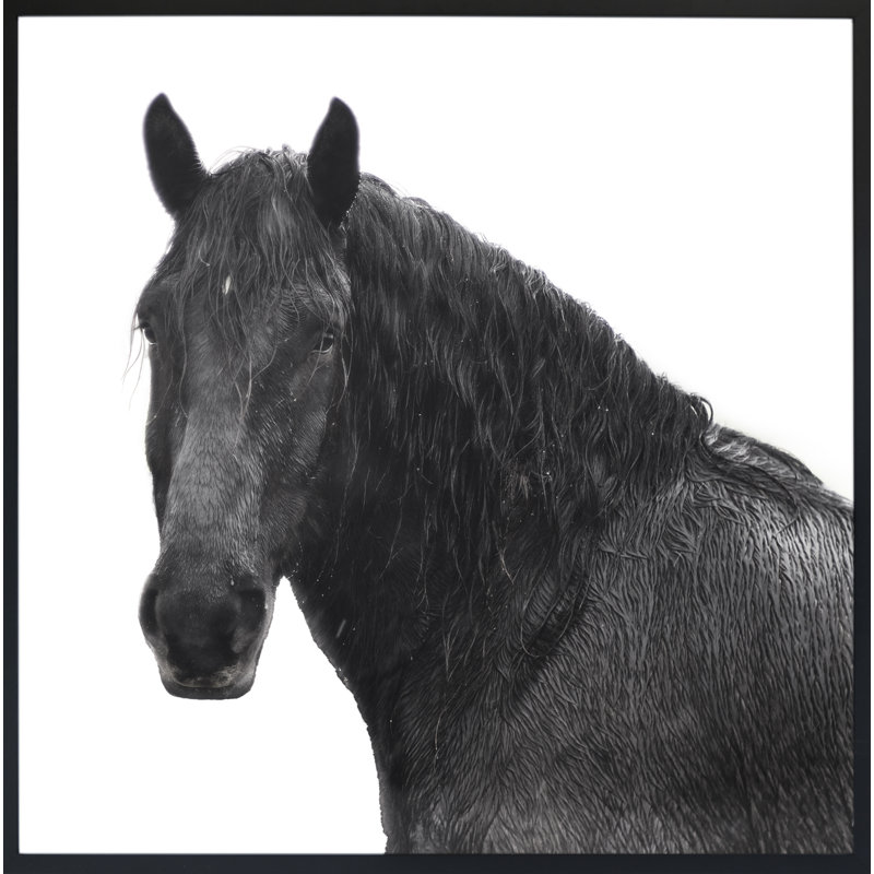 Horse Riggs Farm 5 Print by Chris Dunker, 27" H x 27" W