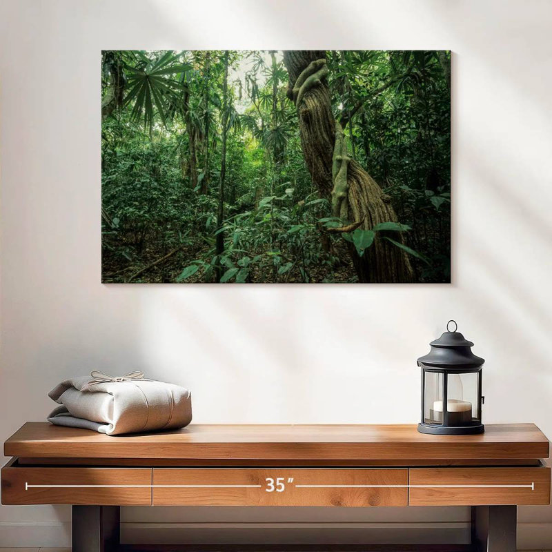 Forêt tropicale Alvord Monteverde, H 16 po x l 24 po