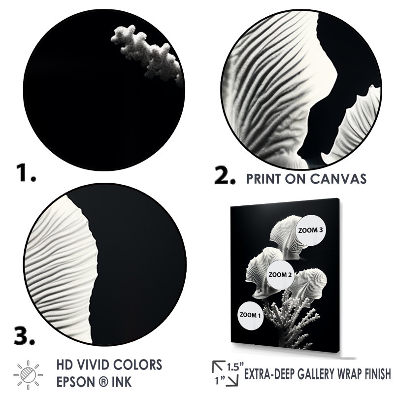 «Black and White Modern Coral Dream - Beach and Ocean, art mural sur toile, H 32 po x l 24 po x P 1 po