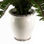 40cm Faux Plant in Ceramic Pot