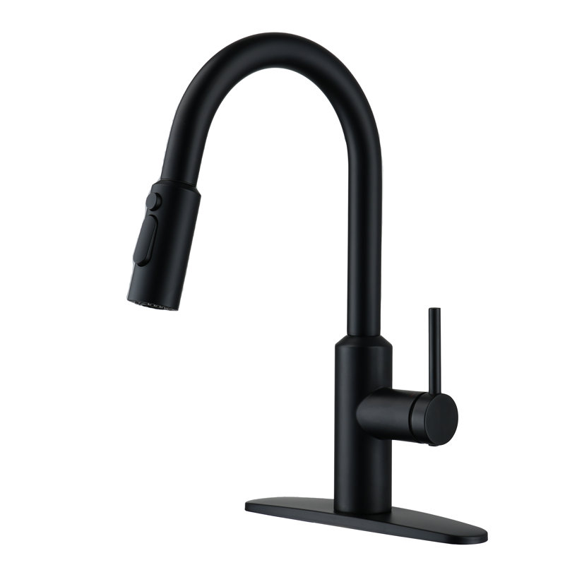 Boyel Living Kitchen Faucet Side Spray, Matte Black