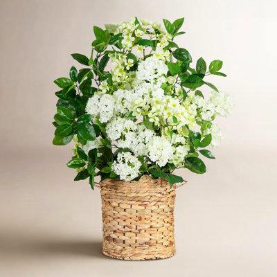 Moura Mixed Floral Arrangement