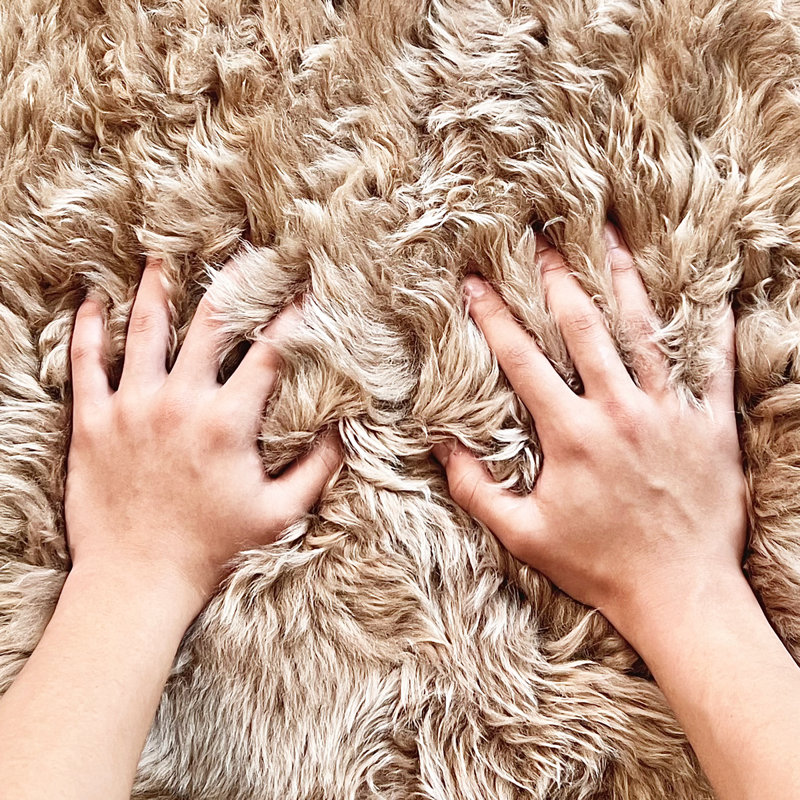 1 Pelt Genuine Sheepskin Rug 2x3 Ft(taupa)