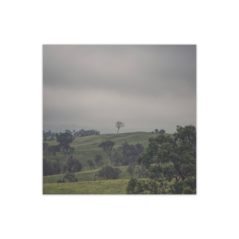 Tree On Top 2 by Nur Mut - Print, 30 cm H x 30 cm W