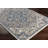 Hodder Oriental Indoor Rug-202769267