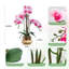 Faux Floral Arrangement-1276274910-1276274911