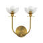 Delisa 2 Light Transparent Vanity Light-1341768696