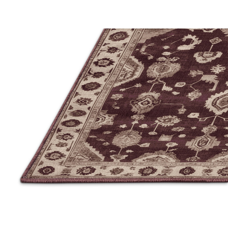 Machine Washable Overdyed Brown Area Rug, Rectangle 2' x 3'