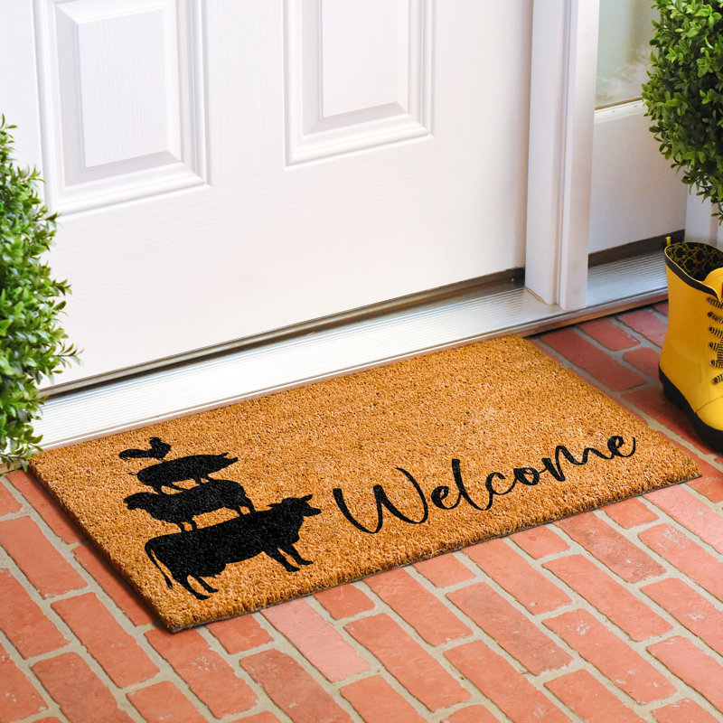 Tapis d'entrée antidérapant Mercedie, L 17 po x L 29 po