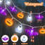 Décorations lumineuses d'Halloween, guirlande de 5 m (16,4 pi) avec 30 DEL, fonctionne sur piles, minuterie, télécommande, 8 modes, étanche, citrouille, chauve-souris et fantôme lumineux 3D pour la décoration intérieure et extérieure des fenêtres, porches et fêtes à la maison.