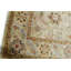 Wool Oriental Area Rug in Sand/Beige