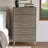 Carbajal 5 Drawer Chest