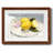 " Lemons On A Plate II "-578423576-578423577