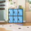 6 -Door Storage Cabinet