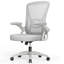 Chaise de bureau ergonomique en filet avec accoudoirs rabattables Norlene-757732381