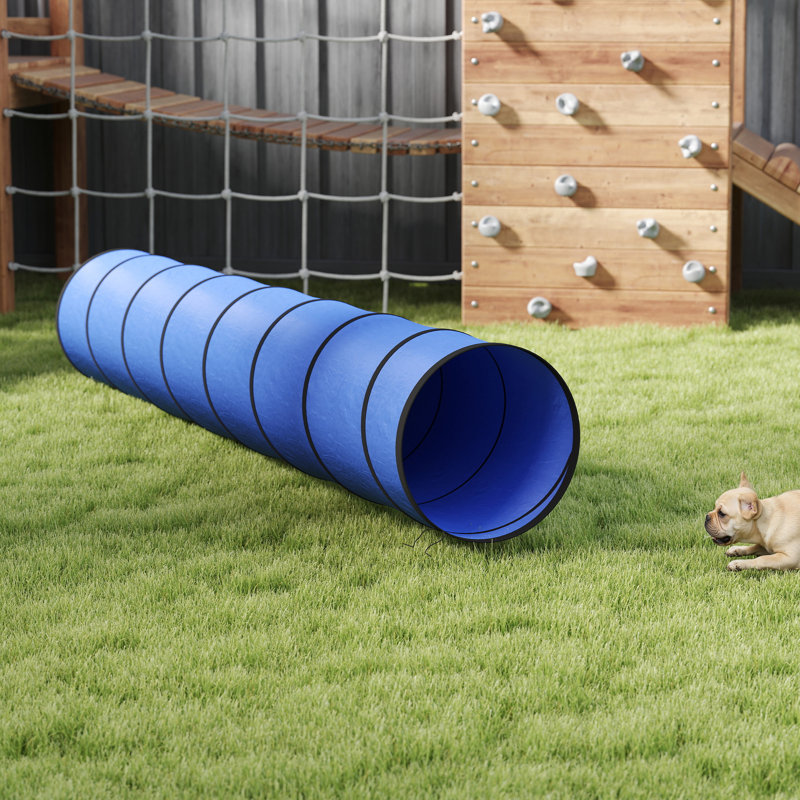 Dog Agility, 60cm H x 60cm W x 60cm D
