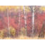 Swan Valley Autumn Portrait #3 Print by Bruce Heinemann-92904064-92904079-132872369