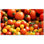Fruit Photo 12'' x 12'' Satin Ceramic Decorative Mural
